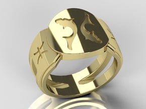 Pisces Signet Ring Lite in 14K Yellow Gold: 10 / 61.5