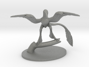 Microraptor in Gray PA12