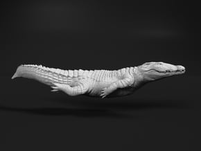 Nile Crocodile 1:12 Smaller one swimming in White Natural Versatile Plastic