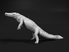 Nile Crocodile 1:6 Lying diagonal in water in White Natural Versatile Plastic