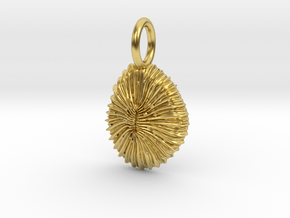 Fungia Coral Pendant in Polished Brass