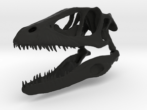 Dinosaur skull in Black Natural Versatile Plastic