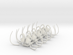 preant head 03 ant x10 in White Premium Versatile Plastic