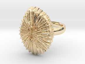 Fungia Coral Ring - Marine Biology Jewelry in 14K Yellow Gold: 7 / 54
