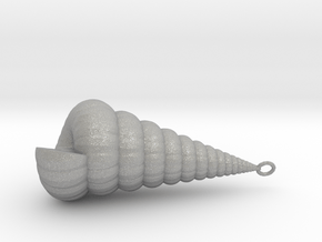 Clamshell - Mollusc Shell Charm 3D Model - Pendant in Aluminum