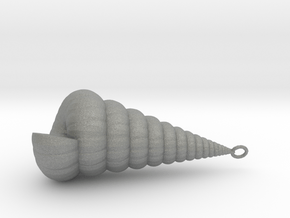 Clamshell - Mollusc Shell Charm 3D Model - Pendant in Gray PA12