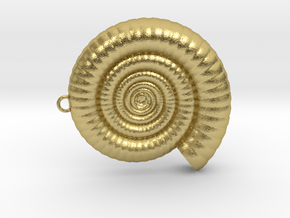 Clamshell - Ammonite Charm 3D Model  -  3D Pendant in Natural Brass