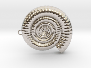 Clamshell - Ammonite Charm 3D Model  -  3D Pendant in Rhodium Plated Brass