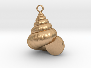 Cockleshell - Mollusc Charm 3D Model - 3D Printing in Natural Bronze
