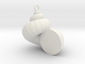 Cockleshell - Snail Mollusc Charm 3D Model Pendant in White Natural Versatile Plastic