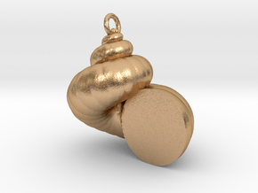 Cockleshell - Snail Mollusc Charm 3D Model Pendant in Natural Bronze