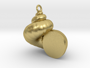 Cockleshell - Snail Mollusc Charm 3D Model Pendant in Natural Brass