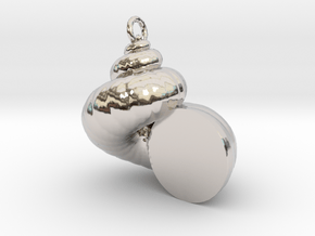 Cockleshell - Snail Mollusc Charm 3D Model Pendant in Rhodium Plated Brass