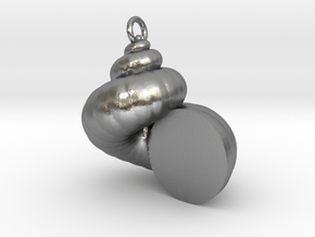 Cockleshell - Snail Mollusc Charm 3D Model Pendant in Natural Silver