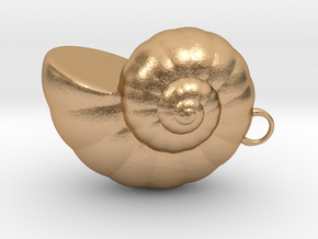 Shell - Snail Mollusc Charm 3D Model - 3D Printing in Natural Bronze