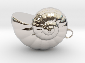 Shell - Snail Mollusc Charm 3D Model - 3D Printing in Rhodium Plated Brass