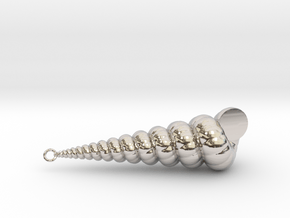 Cockleshell - Snail Mollusc Charm 3D Model   in Rhodium Plated Brass