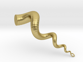 Cockleshell - Snail Mollusc Charm 3D Model  in Natural Brass
