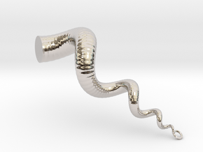 Cockleshell - Snail Mollusc Charm 3D Model  in Platinum
