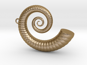 Cockleshell - Snail Mollusc Charm 3D Model   in Polished Gold Steel