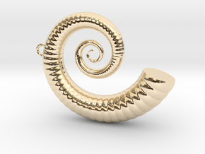Cockleshell - Snail Mollusc Charm 3D Model   in 14K Yellow Gold