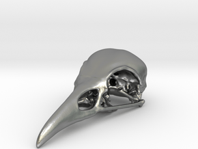Bird Skull - Micro in Natural Silver