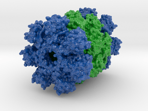 Proteasome 1Q5R in Glossy Full Color Sandstone: Extra Small