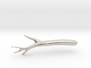 Thorny Bead - Jewelry Pendant 3D Model with Prickl in Platinum