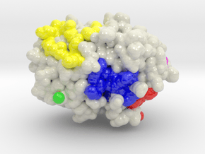 Protein Phosphatase 1 4MOV in Glossy Full Color Sandstone: Extra Small