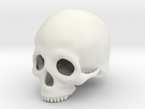 Skull Deko (small) in White Natural Versatile Plastic