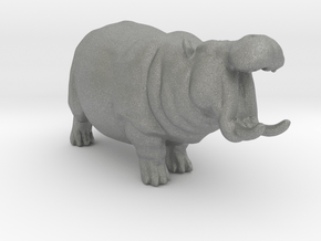 Hippopotamus Attack miniature model fantasy games in Gray PA12