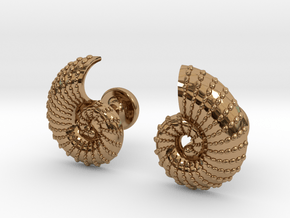 Nautilus Shell Cufflinks in Polished Brass
