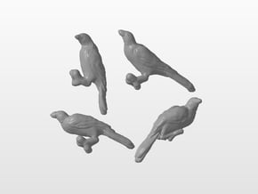 Red-Billed Oxpecker Set 1:16 four pieces in Tan Fine Detail Plastic