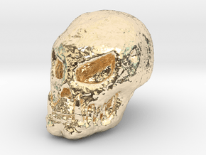 Fossilised Alien Skull 1 in 14K Yellow Gold