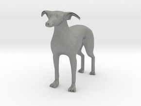 1 inch Greyhound in Gray PA12