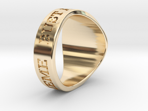 NuperBall ENTHYMEME Ring s20 in 14K Yellow Gold