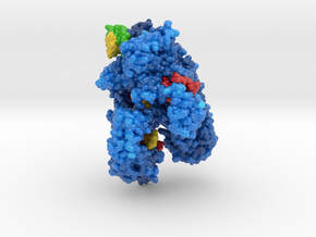 CRISPR-Collection Cas12a-Cpf1 5B43 in Glossy Full Color Sandstone: Medium