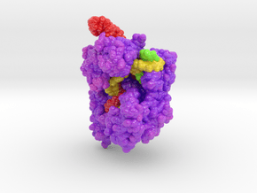 CRISPR-Collection Cas9 5AXW in Glossy Full Color Sandstone: Extra Small