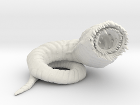 Wormy in White Natural Versatile Plastic