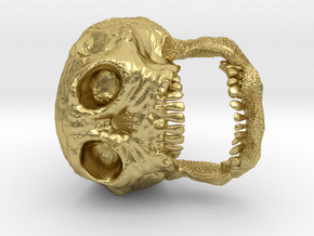 Skull Signet Ring in Natural Brass: 7.5 / 55.5