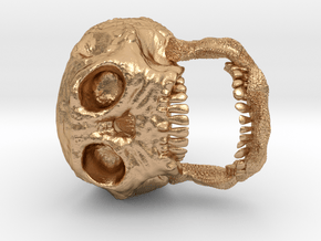 Skull Signet Ring in Natural Bronze: 7 / 54