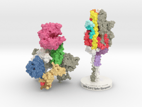 Spike Glycoprotein MOA 6XR8-6M17  in Glossy Full Color Sandstone: Medium