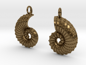 Nautilus Shell Earrings in Natural Bronze