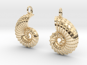 Nautilus Shell Earrings in 14K Yellow Gold
