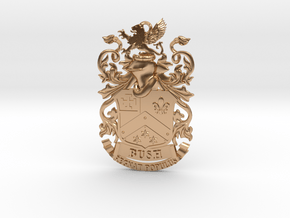 Bush Family Crest Pendant Heraldry Coat of Arms in Polished Bronze