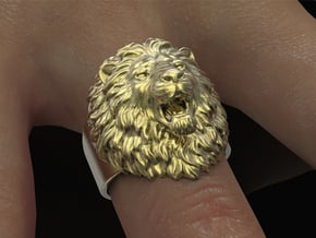 Lion Ring No.6_Mouth Open_8 US in Natural Brass