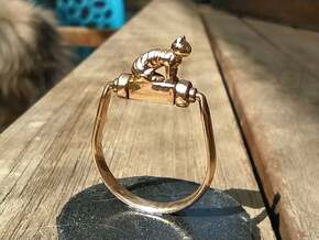 Egyptian Cat Ring, Variant 1 in Polished Bronze: 9 / 59