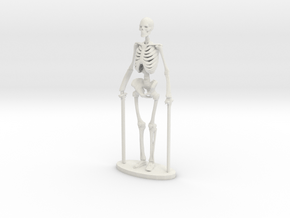 1-35 Scale Standing Skeleton in White Natural Versatile Plastic