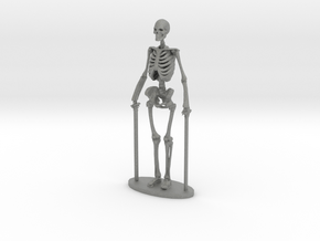 1-35 Scale Standing Skeleton in Gray PA12