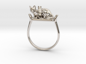 Egyptian Cat Ring, Variant 3, Sz. 4-13 in Rhodium Plated Brass: 9 / 59